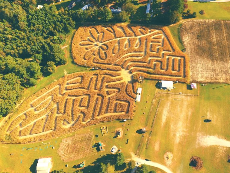 Ken's Korny Corn Maze 2020 Aerial View