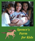 Spence's Farm
